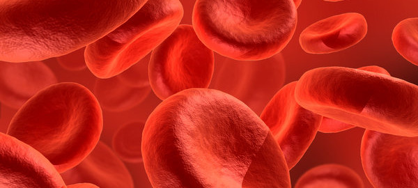 red_blood_cells_by_soulundone