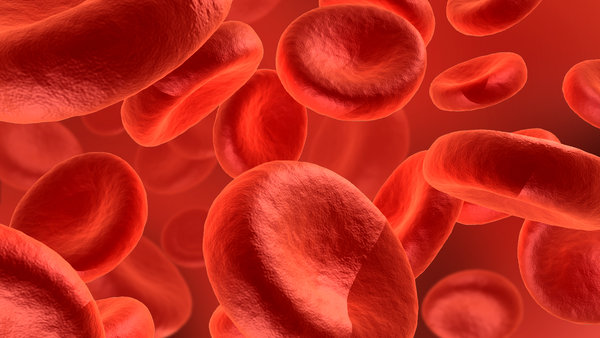 red_blood_cells_by_soulundone
